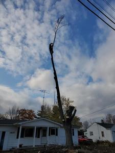 We offer tree removal services to homeowners who need to have a dead or diseased tree removed from their property. Our team of professionals is experienced in safely removing trees, and we will work with you to ensure that the process goes as smoothly as possible. for A&B Landscaping L.L.C. in Lapeer, MI