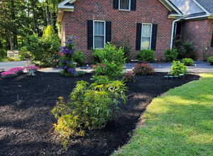 Mulch is used to help maintain the health of your landscape and adds a professional touch to any planter. It can be placed over soil to lock in moisture and improve soil conditions to encourage a healthier lawn. We provide a variety of professional mulching services. for Muddy Paws Landscaping in Lugoff, SC