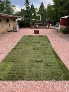We provide professional sod installation services to give your yard a lush, green look. Our experienced team will ensure the job is done right! for Top of The Edge Landscape in Peyton,  CO