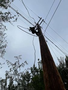 Enhance your home's connectivity with our FiberOptics service, offering lightning-fast internet speeds and reliable connections, seamlessly integrated while protecting the health and beauty of your trees. experience modern living without compromises. for Hammons Construction LLC in Eugene, OR