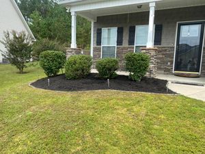 Our Shrub Maintenance and Installation service offers homeowners expert care and installation of shrubs to enhance the beauty and overall appeal of their lawn, ensuring healthy growth and longevity. for Four Seasons Property Care in Aiken, SC
