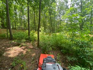 Our Brush Clearing & Bush Hogging service provides safe and effective land clearing services for homeowners, ensuring a beautiful, debris-free yard without any hassle. for Deeply Rooted Lawn Maintenance in Winder, GA