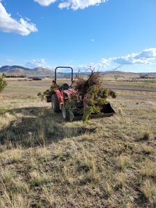 Our Shrub Trimming & Pruning service ensures that your shrubs are well-maintained and stay healthy, enhancing the overall appearance of your landscape with a professionally manicured look. for Yeti Snow and Lawn Services in Helena, Montana
