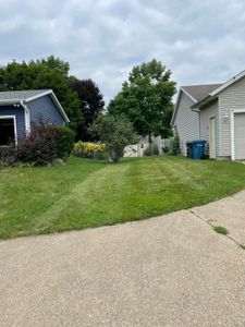 Our Shrub Trimming service is a great way to keep your shrubs looking their best. We will trim them to shape and make sure we are healthy. for Solid Oak Lawn Care in East Grand Rapids, MI