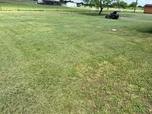 Our Fall Clean Up service ensures your lawn stays pristine by removing leaves, debris, and dead plants, preparing your garden for winter and promoting a healthy start in spring. for AAA Lawn Service in Moody, TX