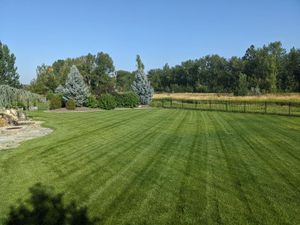 Our mowing service ensures a pristine, well-manicured lawn through precision cutting, trimming edges, and removing clippings, enhancing your home's curb appeal while promoting healthy grass growth. Trust us for consistent quality care. for Silvercut Lawncare in Star, ID