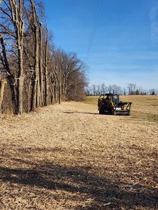 Our Bush Hogging service clears overgrown fields, lots, and property edges fast, improving safety and curb appeal. If you’re searching bush hogging near me, our team delivers reliable results. for Mitchell Tree Company in Lathrop, MO