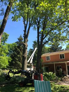 Our Roof and Structure Clearance service safely trims branches away from your home to prevent damage and enhance safety while maintaining the health and beauty of your trees. for Pro Tree Trim & Removal, Llc in Dayton, OH