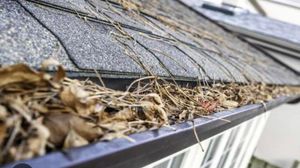 Our Gutter Cleaning service ensures that your gutters are free from debris, allowing proper water drainage and preventing any potential damage to your home's foundation or exterior. for Zachs Pressure Washing  in Tampa, FL