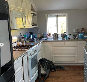 Our Kitchen and Cabinet Refinishing service offers homeowners a cost-effective solution to transform the appearance of their kitchen cabinets, enhancing their overall aesthetic appeal without breaking the bank. for Precise Painting SD in San Diego, CA