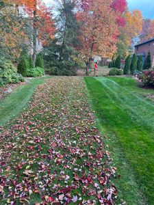 Our Fall Clean Up service will help homeowners maintain a tidy and beautiful yard by removing leaves, debris, and preparing the landscape for winter. for Kunkle & Sons Property Maintenance in Akron, OH