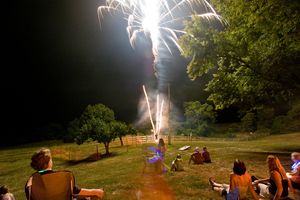 Our Small Backyard Displays service offers homeowners a captivating and safe way to enjoy pyrotechnics and fireworks in their own backyard, creating memorable moments for any occasion. for Sky High Pyrotechnics & Fireworks in Milton, DE