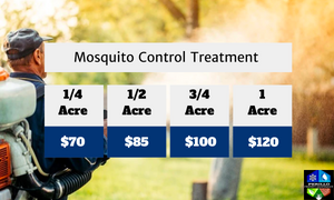 Our Mosquito tick control service will keep your yard pest-free, allowing you to enjoy outdoor activities without worrying about bites or diseases. Say goodbye to itchy welts and protect your family. Perillo Property Maintenance is a In2Care Certified Specialist.  for Perillo Property maintenance in Poughkeepsie, NY