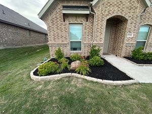 Our Shrub Trimming service ensures your plants stay healthy and beautifully shaped, enhancing your home's curb appeal by maintaining optimal growth and preventing overgrowth issues. Let us transform your outdoor space today! for Fine Line Lawn Care & Landscaping in Aledo, TX