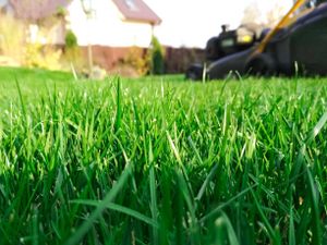 Our Mowing service provides top-quality lawn care solutions, ensuring that your yard remains well-maintained and visually appealing throughout the year. for Top Cut Lawn Service in Center Point, IA
