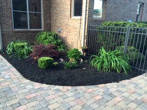 We provide mulch installation services to give your landscape an aesthetically pleasing look and help conserve moisture in the soil. for Rey Landscaping & Lawn service LLC in West Palm Beach,  FL