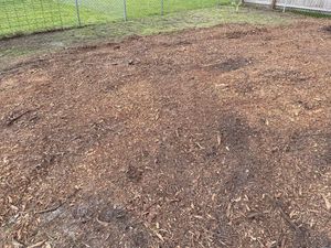 If you have a tree stump in your yard that you need removed, we can help. We offer a Stump Removal service that will take care of the stump for you. We'll remove it and dispose of it so that you don't have to worry about it anymore. for On The Grind Stump Grinding Services LLC in Jacksonville, FL
