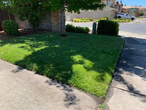 Our Other Lawn Services are a great way to keep your lawn looking its best. We offer a variety of services that can be tailored to fit your specific needs. for Folsom Lake Landscaping in El Dorado Hills, CA