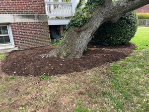 Our Fall and Spring Clean Up service is a great way to get your yard cleaned up before the winter or summer. We will come out and clear all of the leaves, branches, and other debris from your yard so you can enjoy it without having to worry about cleaning it up yourself. for Eddie’s Lawn Care in Chesapeake, VA