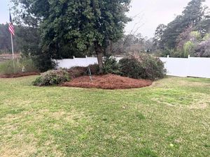 Our Pinestraw Installation service provides an attractive and low maintenance option for adding a fresh look to your landscape. Let us enhance the beauty of your property with professional installation. for Shang's Landscaping Service in Columbia, South Carolina