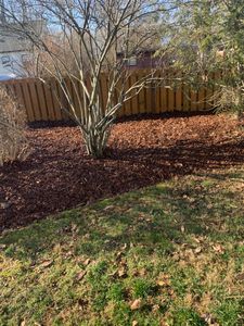 Our Fall Clean Up service includes leaf removal, gutter cleaning, and pruning to prepare your property for winter. Let us help you maintain a neat and tidy outdoor space this fall. for Optimum Tree Service And Landscaping in Bowling Green, KY