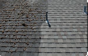 Our professional roof cleaning service effectively removes dirt, debris, and unsightly stains from your roof to restore its beauty and extend its lifespan. for Obsessive Compulsive Cleaning Services LLC in Salem, OR