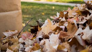 Our Fall Clean Up service prepares your landscape for winter by removing leaves, trimming plants, and cleaning up debris to ensure a healthy yard come spring. Enjoy a pristine outdoor space effortlessly. for Wininger Landscaping in New Richmond, IN