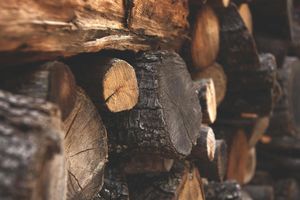 Discover our seasoned firewood near me service for quality wood that burns efficiently. Perfectly dried and ready to use, our firewood enhances warmth and coziness in your home all winter long. for Pro Tree Trim & Removal, Llc in Dayton, OH