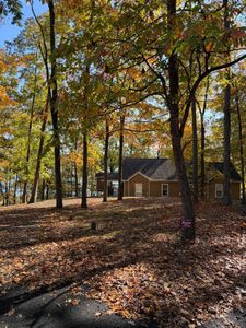 Leaf Removal: We provide a service to remove leaves from your property. This is a great service to have if you don't have time to remove the leaves yourself or if you don't own a leaf blower. for Precision Lawn and Outdoor Services in Bowling Green, Kentucky