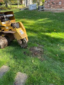 Enhance your landscape's beauty with our expert tree stump grinding service, efficiently removing unsightly stumps to create a clean, safe, and visually appealing outdoor space for your home. for Mulch & Dig in West Bloomfield Township, MI