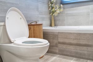 Our Toilet Repairs and Installation service offers homeowners professional assistance with fixing or replacing their toilets, ensuring a smooth and efficient functioning of the plumbing system. for Purified Plumbing Services INC  in Leasburg, NC
