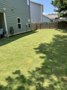 Enhance your lawn's beauty with our sodding service, offering quick, lush green coverage while seamlessly integrating into your landscape. Say goodbye to unsightly tree stump issues and enjoy a pristine outdoor space. for All About Lawns in Trussville, AL