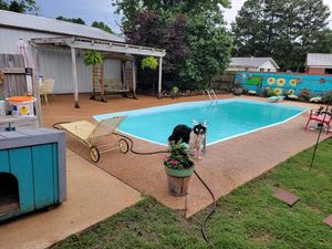 <p>Our pressure washing service is perfect for cleaning driveways, sidewalks, patios and decks. We use a safe and effective detergent to remove all the dirt, dust, grime and cobwebs from your surfaces.</p> for Stocker Lawn Care in  Portia, Arkansas