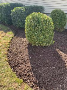 Our Mulch Installation service will enhance the aesthetic appeal of your outdoor space by providing a layer of organic material that promotes healthy plant growth and prevents weed growth. for Quiet Acres Landscaping in Dutchess County, NY