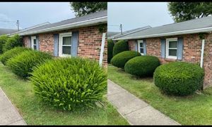 We can trim your shrubs into the perfect shape to make your property standout! We promise you will be amazed by the before and after. Give us a call for all of your shrub trimming needs.  for Robbie's Lawn Care, LLC in Middletown, OH