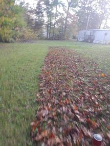 Our Fall and Spring Clean Up service is an affordable way to get your yard cleaned up before the winter or summer. We will remove all of the leaves, branches, and other debris from your yard so you can enjoy it without any hassle. for Top Notch Lawn Care and Tree Removal in Mebane, NC