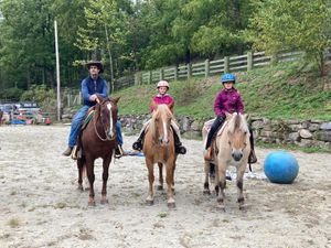 Join us for some low-key fun with our "Games" session at Blue Stone Farm. Challenge your horsemanship skills and bond with our horses in an enjoyable and interactive way. for Blue Stone Farm in Wantage, NJ