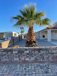 Our Palm Tree service offers professional care, including trimming, pruning, and removal of palm trees to ensure their health and enhance the beauty of your property. for Oliver L. Palm & Tree services in Yuma, AZ