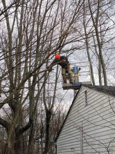 Our Elevating or Height Reduction service helps homeowners by safely trimming or reducing the height of their trees to improve aesthetics and protect nearby structures. for Pro Tree Trim & Removal, Llc in Dayton, OH