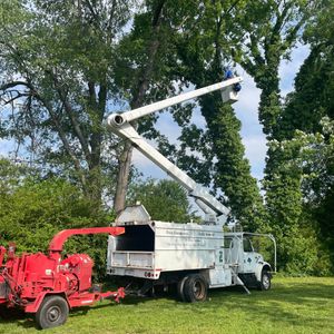 Our Tree Service offers professional and efficient tree care and removal, ensuring the safety and beauty of your property's landscape is maintained to its highest standards. for Transforming Landscaping & Tree Service in Bowling Green, KY
