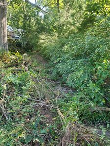 Bush Hogging is a cost-effective way to quickly clear land of overgrown vegetation, creating a clean and level surface for landscaping projects. for Jimmy's Tractor & Landscaping Service LLC in Abbeville, South Carolina