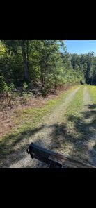 Our Forestry Mulching service efficiently clears overgrown vegetation and unwanted trees using specialized equipment. This eco-friendly method enhances your landscape while minimizing soil disturbance and preserving valuable land resources. for Stevens Land Management LLC in Olympia, KY