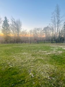 Our durable and secure Horse Fencing provides peace of mind for homeowners looking to keep their horses safe and contained, while also enhancing the aesthetics of their property. for Oats Equestrian Fencing LLC in WA / Oso, WA