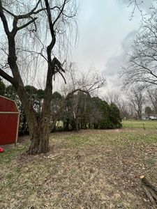 Our Tree Removal services safely eliminate unwanted trees, enhancing yard aesthetics while promoting safety. Trust our expert team for seamless execution. Also inquire about seasonal snow removal to keep your property clear and safe. for Wininger Landscaping in New Richmond, IN
