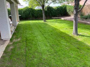 Transform your outdoor space with our professional sod install service, providing lush green lawns that complement stone veneer installation for a stunning, cohesive landscape design you'll enjoy year-round. for Ramirez Landscaping in El Mirage, AZ