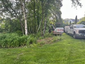Our land clearing service removes trees, brush, stumps, and debris safely and efficiently, preparing your property for construction, landscaping, drainage improvements, or expansion with professional excavation equipment. for JAD Excavating LLC in Goshen, CT