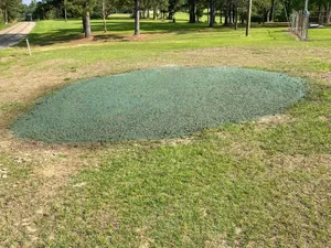 Enhance your landscape with our hydroseeding service, offering an efficient and cost-effective way to establish lush grass coverage. Ideal for erosion control and achieving a vibrant lawn quickly. for South Mississippi Land Management LLC in Columbia, Mississippi