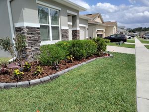 Enhance your home's curb appeal with our professional shrub trimming service. We expertly shape and maintain your shrubs, ensuring healthy growth and a polished look tailored to your landscape's unique design. for Ludlows Services in Davenport, FL
