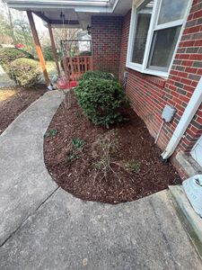Transform your garden with our professional mulch installation service, enhancing soil health and aesthetics while protecting plants. Trust us for a vibrant, low-maintenance landscape that boosts curb appeal effortlessly. for SkyLimit LawnCare in Asheville, NC