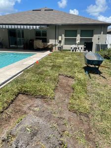 We offer professional sod installation services to create a beautiful, lush lawn. Our experienced team will ensure your yard is expertly installed with the highest quality grass. for Daniel Sons Landscaping &Maintenance in Tampa, Florida